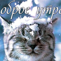 Александр Войнов | 