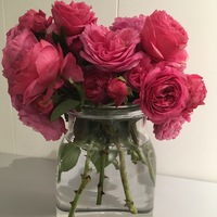 Марианна Коростик