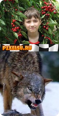 Саша Зарецкий