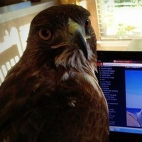 Дмитрий Шутов |