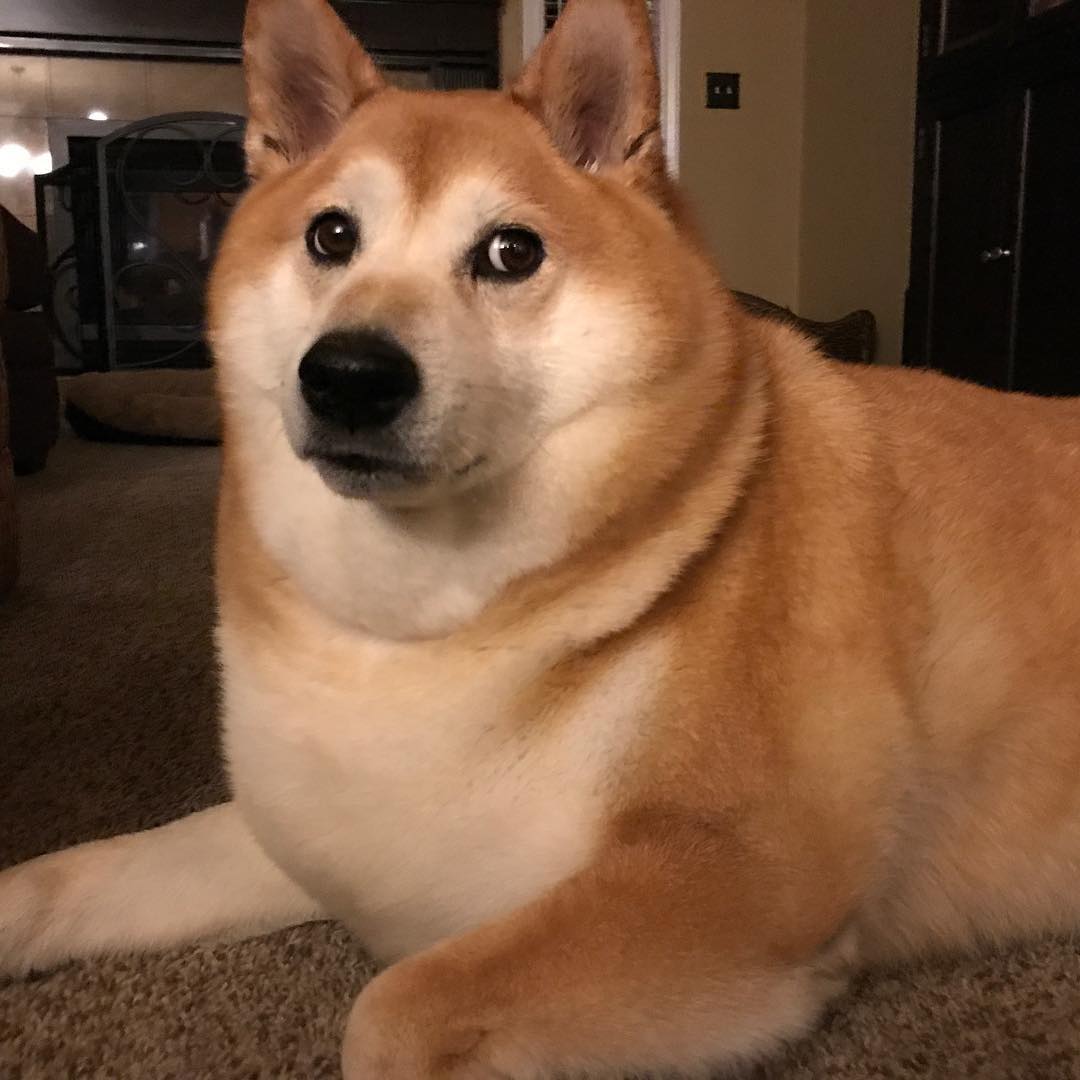 FUb--bRSjYo.jpg