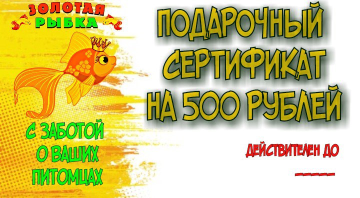 Золотая Рыбка Сеть Магазинов