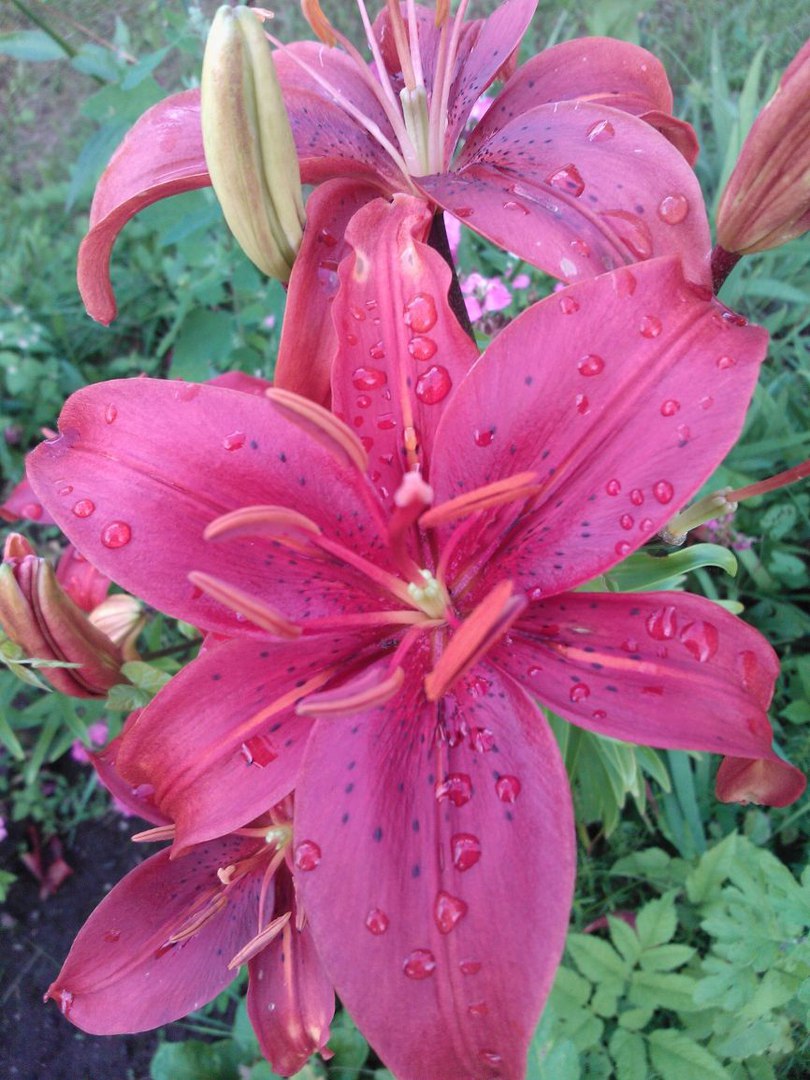 фотография из вКонтакта