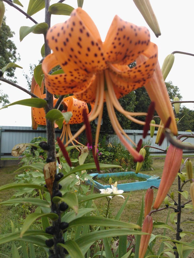 фотография из вКонтакта