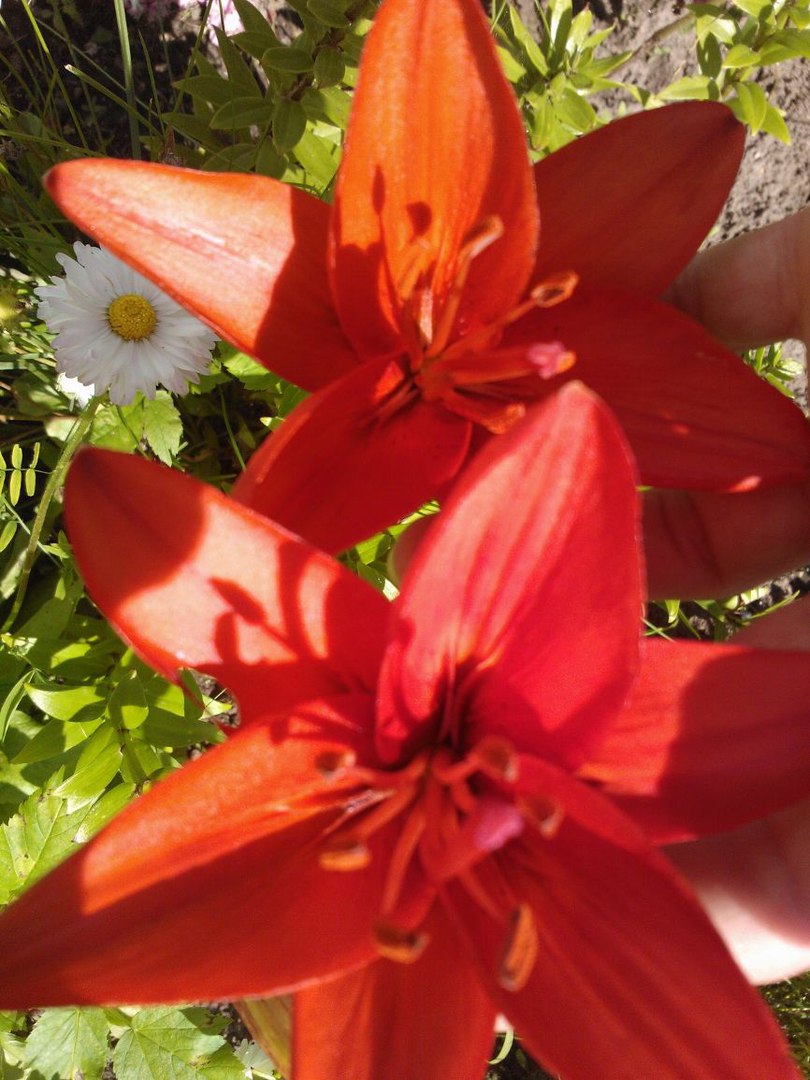 фотография из вКонтакта