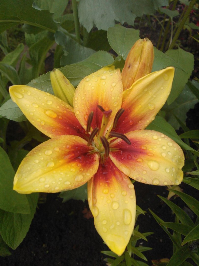 фотография из вКонтакта