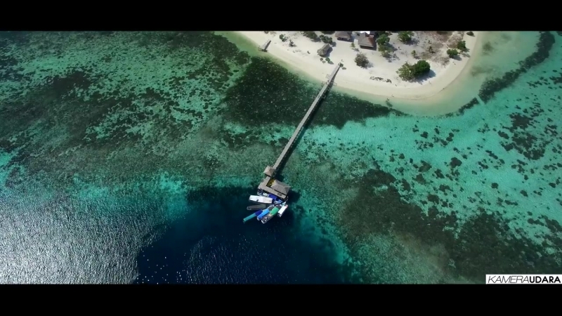 Pulau Komodo , Flores NTT -