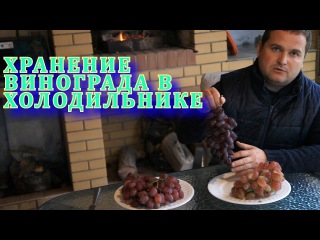 Хранение винограда в холодильнике ( Storage of grapes in the refrigerator).