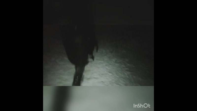 Уоуа зимой ⛄