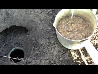 как поймать крота - самый эффективный способ
