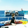 shehova_8