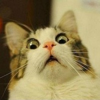 Шварев Александр