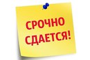 Объявление от Елена - фото №1