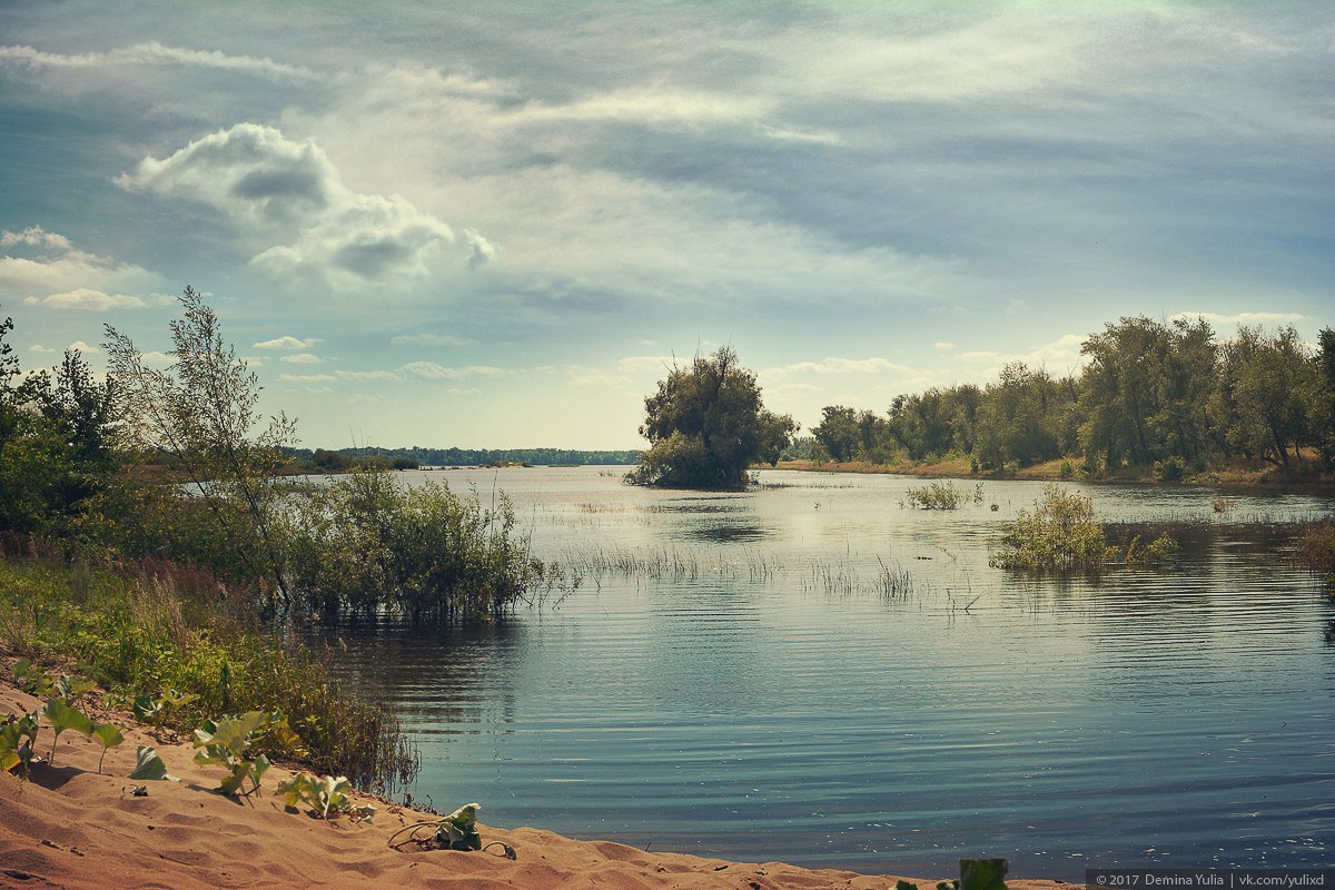 Фотография