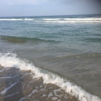 Анна Дорогий