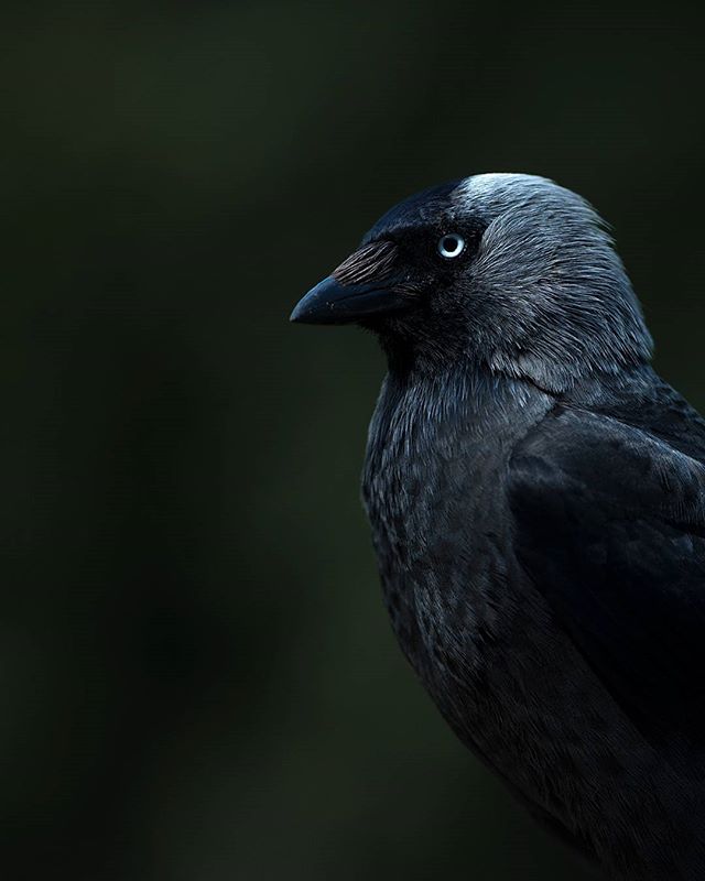 https://pp.userapi.com/c841030/v841030710/3e067/D8ssJliqQkY.jpg