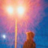 Георгий Кузнецов | Усть-Илимск