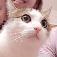 Михалыч Савостьянов