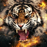 Денежный Адам