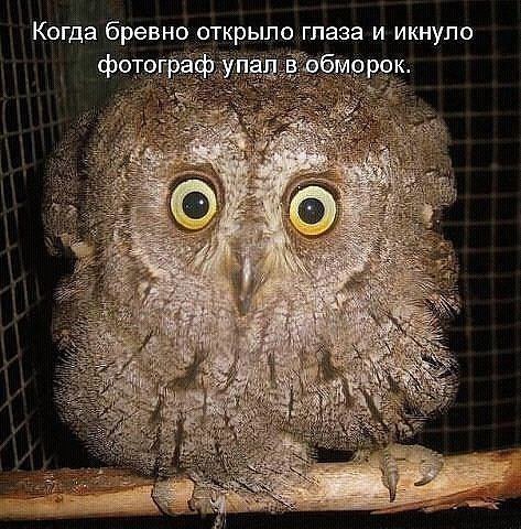 LMBqRrcW-QQ.jpg