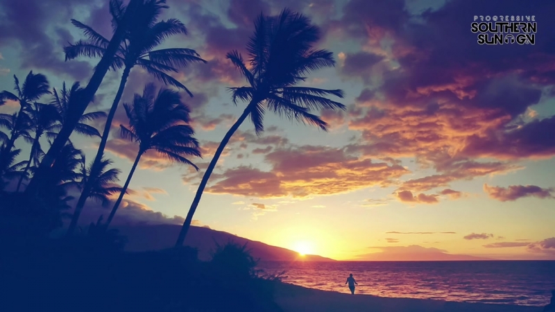 Veeshy - Palm Paradise (Entis Remix)