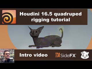 Cat Quad-Rigging - Intro