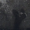 dark_pussy