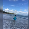 id73240696