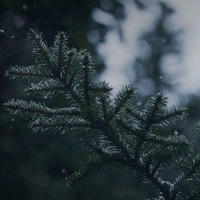 Света Смирнова