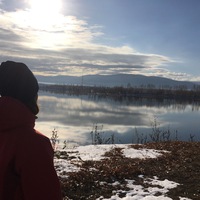 Елена Реутова