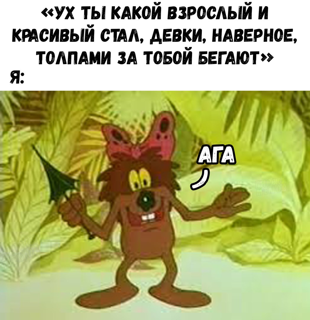 JAyCC7eqPvs.jpg
