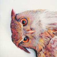 Александр Бирюк