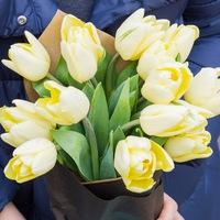 Мария Клумба