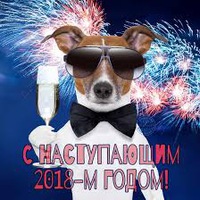 Дима Ирискин