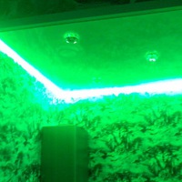 Федор Васильевич | Сургут