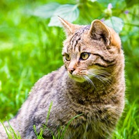 Татьяна Бойкова | Тверь