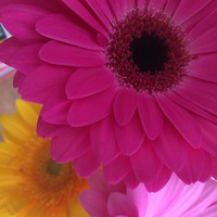 Катя Демова