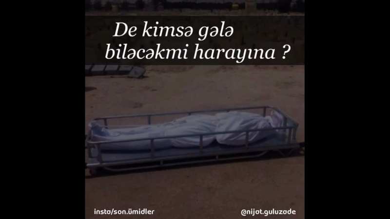 Olumlu dunya