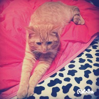 Милена Сядукова