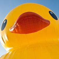 Ксения Найт