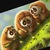 Фото пользователя Игорь