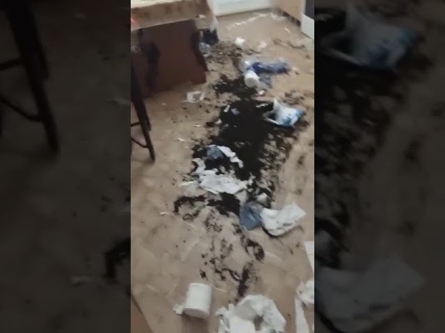 Пересадила Юля цветочки