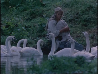 Дикие лебеди (1987)