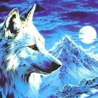 Алексей Усатых