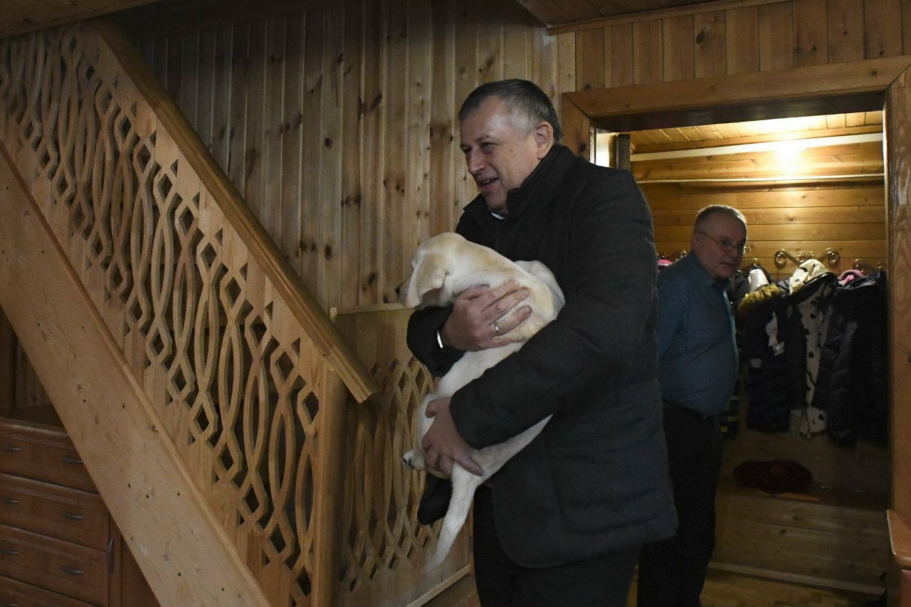 Дрозденко подарил щенка лабрадора многодетной семье из Ленобласти