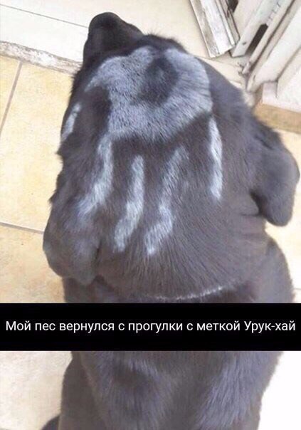 https://pp.userapi.com/c841121/v841121254/2c548/koUdr-Ro3go.jpg