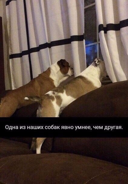 https://pp.userapi.com/c841121/v841121254/2c54f/Mw4vmSdCJCI.jpg