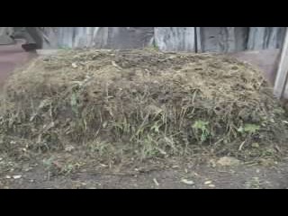 компостная куча с препаратом Сияние 3//Секреты хороших урожаев.