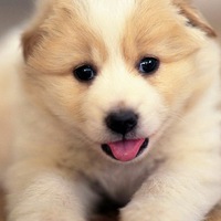 Лариса Величко | 