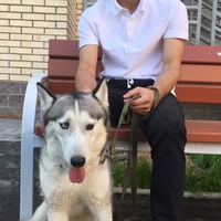 Мурад Гейдаров